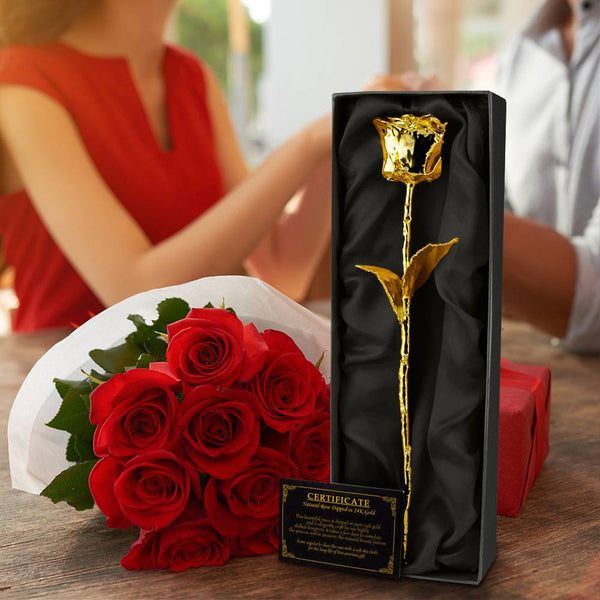 24K GOLDEN ROSE