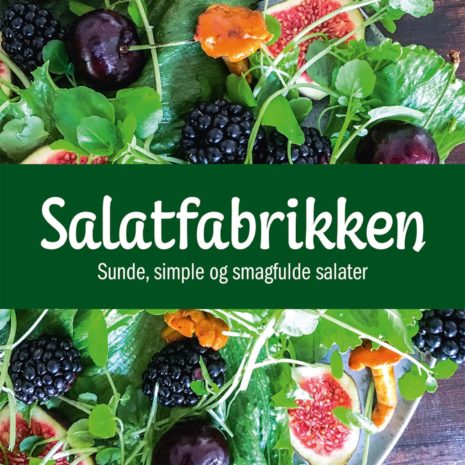 salatfabrikken-724553